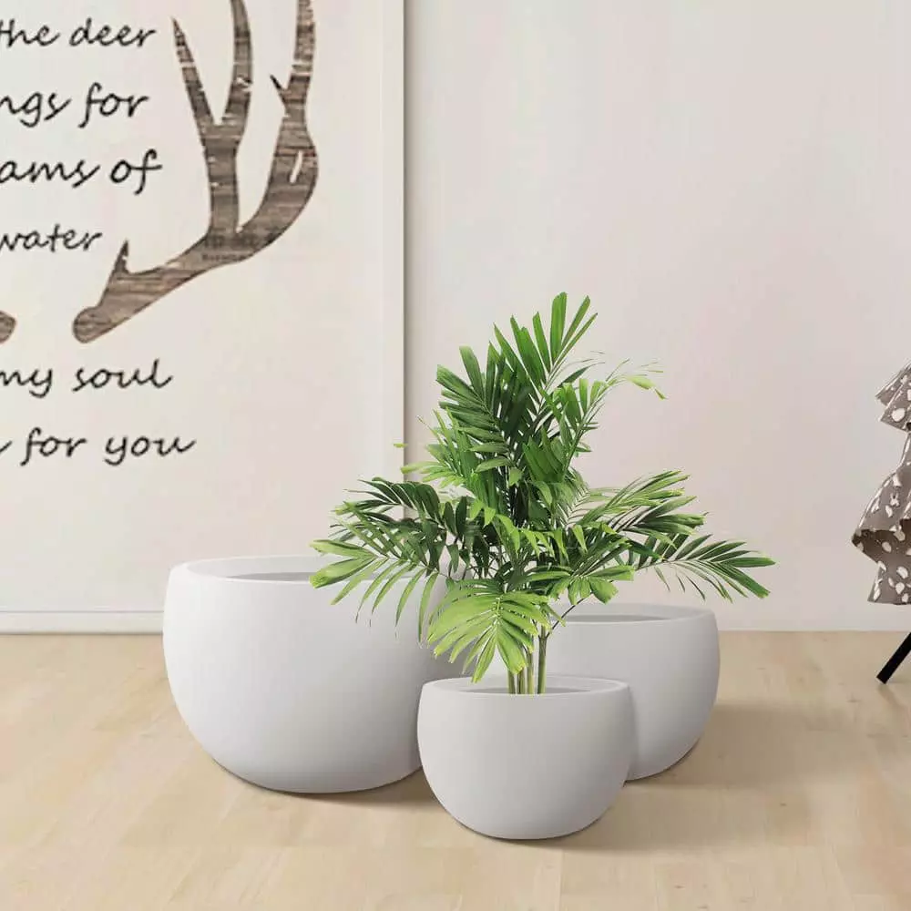 KANTE 20 in., 16 in. and 12 in. W Pure White Concrete Round Elegant Planters (Set of 3), Outdoor Indoor Modern Planter Pots 5 KANTE 20 in., 16 in. and 12 in. W Pure White Concrete Round Elegant Planters (Set of 3), Outdoor Indoor Modern Planter Pots - Image 3