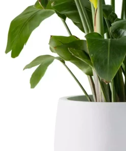 KANTE 19.6 in., 15.7 in. & 11.8 in. W Round Pure White Concrete Elegant Planters Set of 3, Outdoor Indoor w/Drainage Holes -Vigoro sales Store pure white kante plant pots rc0051abc c80011 1f 1000