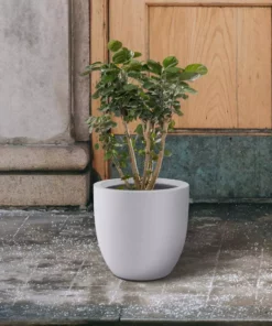 KANTE 13.39 in. x 12.6 in. Round Pure White Lightweight Concrete and Fiberglass Indoor Outdoor Planter with Drainage Hole -Vigoro sales Store pure white kante plant pots rc0152b c80011 fa 1000