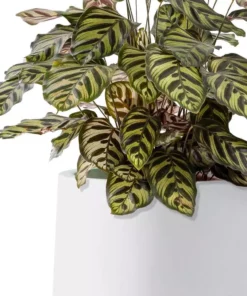 KANTE 17.3 in. H Round Pure White Concrete Planter, Outdoor Indoor Large Planter Pots Containers with Drainage Holes -Vigoro sales Store pure white kante plant pots rf2015022b c80011 4f 1000