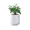 KANTE 17.3 in. H Round Pure White Concrete Planter, Outdoor Indoor Large Planter Pots Containers with Drainage Holes 2 KANTE 17.3 in. H Round Pure White Concrete Planter, Outdoor Indoor Large Planter Pots Containers with Drainage Holes -Vigoro sales Store pure white kante plant pots rf2015022b c80011 64 1000