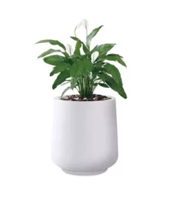 KANTE 17.3 in. H Round Pure White Concrete Planter, Outdoor Indoor Large Planter Pots Containers with Drainage Holes