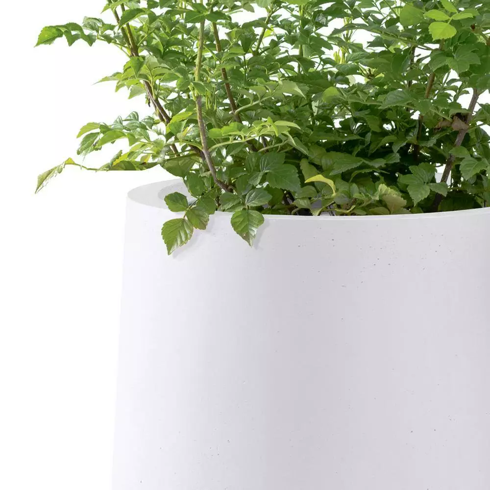 KANTE 13.4 in. H Pure White Tuliped Round Concrete Planter, Outdoor Indoor Large Planter Pots, Containers with Drainage Holes 7 KANTE 13.4 in. H Pure White Tuliped Round Concrete Planter, Outdoor Indoor Large Planter Pots, Containers with Drainage Holes - Image 5