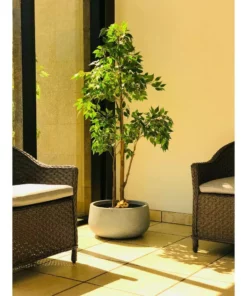 KANTE 20 in. W Round Slate Gray Lightweight Concrete/Fiberglass Indoor Outdoor Elegant Bowl Planter -Vigoro sales Store slate gray kante plant pots osc0051c c60611 fa 1000