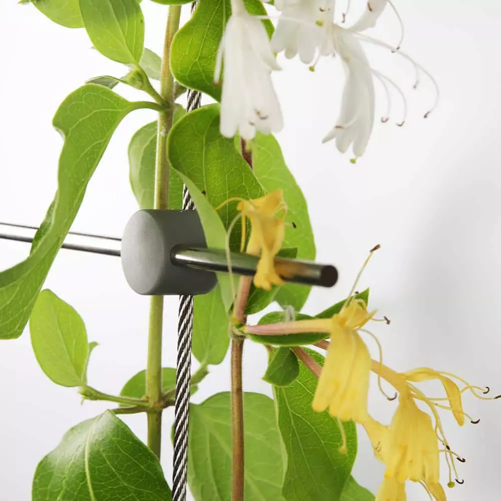 Vigoro 8 ft. x 3 ft. Stainless Steel Wire Rope Plant Trellis Kit 4 Vigoro 8 ft. x 3 ft. Stainless Steel Wire Rope Plant Trellis Kit - Image 2