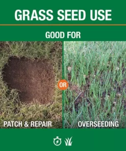 Vigoro 3 lbs. Fast Grass Seed Mix -Vigoro sales Store vigoro grass seed 25102 4f 1000