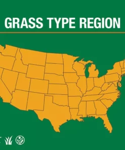 Vigoro 3 lbs. Fast Grass Seed Mix -Vigoro sales Store vigoro grass seed 25102 66 1000