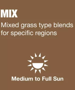 Vigoro 3 lbs. Fast Grass Seed Mix -Vigoro sales Store vigoro grass seed 25102 a0 1000