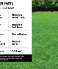 Vigoro 3 lbs. Fast Grass Seed Mix -Vigoro sales Store vigoro grass seed 25102 fa 1000