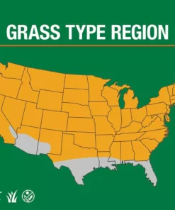 Vigoro 3 lbs. Tall Fescue Grass Seed Blend with Water Saver Seed Coating 20 Vigoro 3 lbs. Tall Fescue Grass Seed Blend with Water Saver Seed Coating -Vigoro sales Store vigoro grass seed 25684 66 1000
