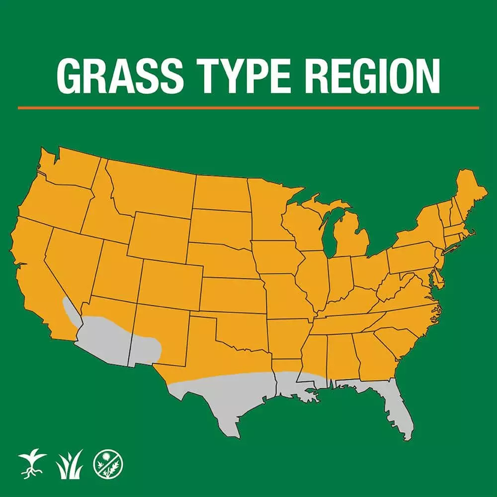 Vigoro 3 lbs. Tall Fescue Grass Seed Blend with Water Saver Seed Coating 8 Vigoro 3 lbs. Tall Fescue Grass Seed Blend with Water Saver Seed Coating - Image 6