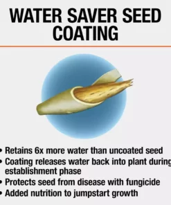 Vigoro 7 lbs. Tall Fescue Grass Seed Blend with Water Saver Seed Coating 19 Vigoro 7 lbs. Tall Fescue Grass Seed Blend with Water Saver Seed Coating -Vigoro sales Store vigoro grass seed 25685 1d 1000