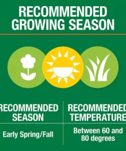 Vigoro 20 lbs. Tall Fescue Grass Seed Blend with Water Saver Seed Coating 24 Vigoro 20 lbs. Tall Fescue Grass Seed Blend with Water Saver Seed Coating -Vigoro sales Store vigoro grass seed 25686 1f 1000