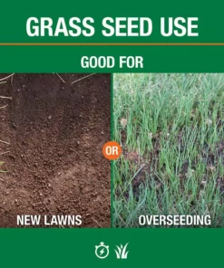 Vigoro 20 lbs. Tall Fescue Grass Seed Blend with Water Saver Seed Coating 23 Vigoro 20 lbs. Tall Fescue Grass Seed Blend with Water Saver Seed Coating -Vigoro sales Store vigoro grass seed 25686 4f 1000