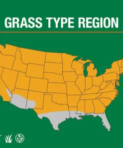 Vigoro 20 lbs. Tall Fescue Grass Seed Blend with Water Saver Seed Coating 20 Vigoro 20 lbs. Tall Fescue Grass Seed Blend with Water Saver Seed Coating -Vigoro sales Store vigoro grass seed 25686 66 1000