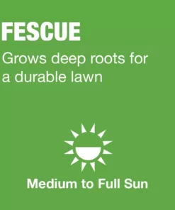 Vigoro 20 lbs. Tall Fescue Grass Seed Blend with Water Saver Seed Coating 18 Vigoro 20 lbs. Tall Fescue Grass Seed Blend with Water Saver Seed Coating -Vigoro sales Store vigoro grass seed 25686 a0 1000