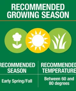 Vigoro 3 lbs. Dense Shade Grass Seed Mix with Water Saver Seed Coating 24 Vigoro 3 lbs. Dense Shade Grass Seed Mix with Water Saver Seed Coating -Vigoro sales Store vigoro grass seed 25689 1f 1000