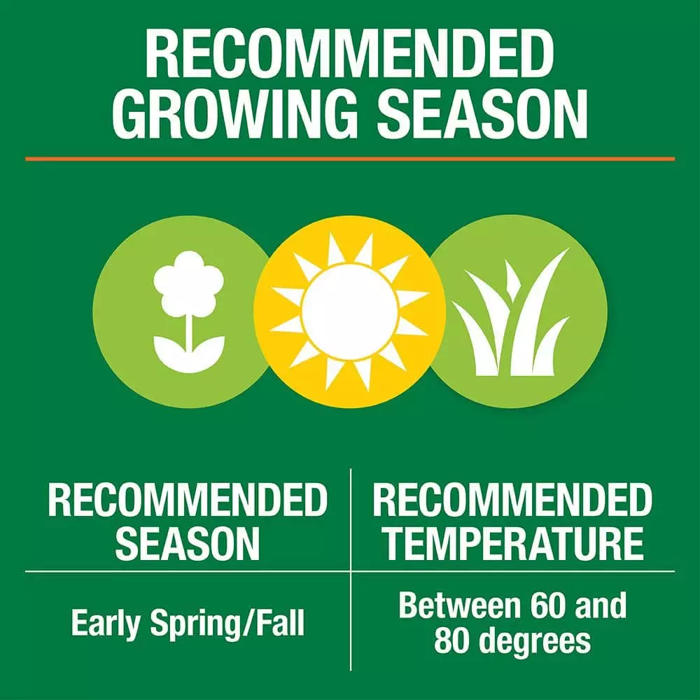 Vigoro 3 lbs. Dense Shade Grass Seed Mix with Water Saver Seed Coating 12 Vigoro 3 lbs. Dense Shade Grass Seed Mix with Water Saver Seed Coating - Image 10