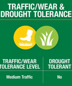 Vigoro 3 lbs. Dense Shade Grass Seed Mix with Water Saver Seed Coating 25 Vigoro 3 lbs. Dense Shade Grass Seed Mix with Water Saver Seed Coating -Vigoro sales Store vigoro grass seed 25689 44 1000