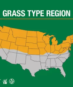 Vigoro 3 lbs. Dense Shade Grass Seed Mix with Water Saver Seed Coating 20 Vigoro 3 lbs. Dense Shade Grass Seed Mix with Water Saver Seed Coating -Vigoro sales Store vigoro grass seed 25689 66 1000