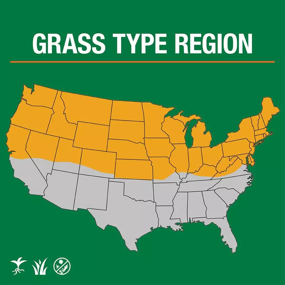 Vigoro 3 lbs. Dense Shade Grass Seed Mix with Water Saver Seed Coating 4 Vigoro 3 lbs. Dense Shade Grass Seed Mix with Water Saver Seed Coating - Image 2