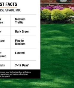 Vigoro 3 lbs. Dense Shade Grass Seed Mix with Water Saver Seed Coating 26 Vigoro 3 lbs. Dense Shade Grass Seed Mix with Water Saver Seed Coating -Vigoro sales Store vigoro grass seed 25689 fa 1000