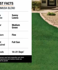 Vigoro 1 lb. Bermuda Grass Seed Blend with Water Saver Seed Coating 10 Vigoro 1 lb. Bermuda Grass Seed Blend with Water Saver Seed Coating -Vigoro sales Store vigoro grass seed 52334 1f 1000