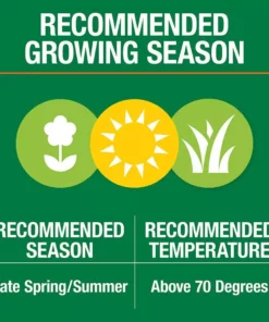 Vigoro 5 lbs. Bermuda Grass Seed Blend with Water Saver Seed Coating -Vigoro sales Store vigoro grass seed 52335 1f 1000