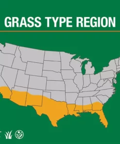 Vigoro 5 lbs. Bermuda Grass Seed Blend with Water Saver Seed Coating -Vigoro sales Store vigoro grass seed 52335 66 1000