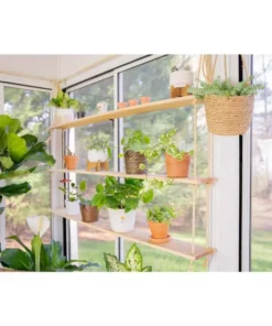 Vigoro 6 in. Golden Pothos Indoor Plant in Small White Ribbed Plastic Decor Planter (2-Pack) 19 Vigoro 6 in. Golden Pothos Indoor Plant in Small White Ribbed Plastic Decor Planter (2-Pack) -Vigoro sales Store vigoro indoor plants co poth 3 vi wh 1f 1000