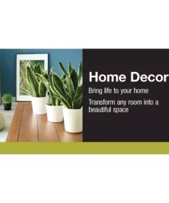 Vigoro 6 in. Grower's Choice Snake Plant (Sansevieria) in Small White Ribbed Plastic Decor Planter (2-Pack) -Vigoro sales Store vigoro indoor plants co sl07 3 vi wh 40 1000