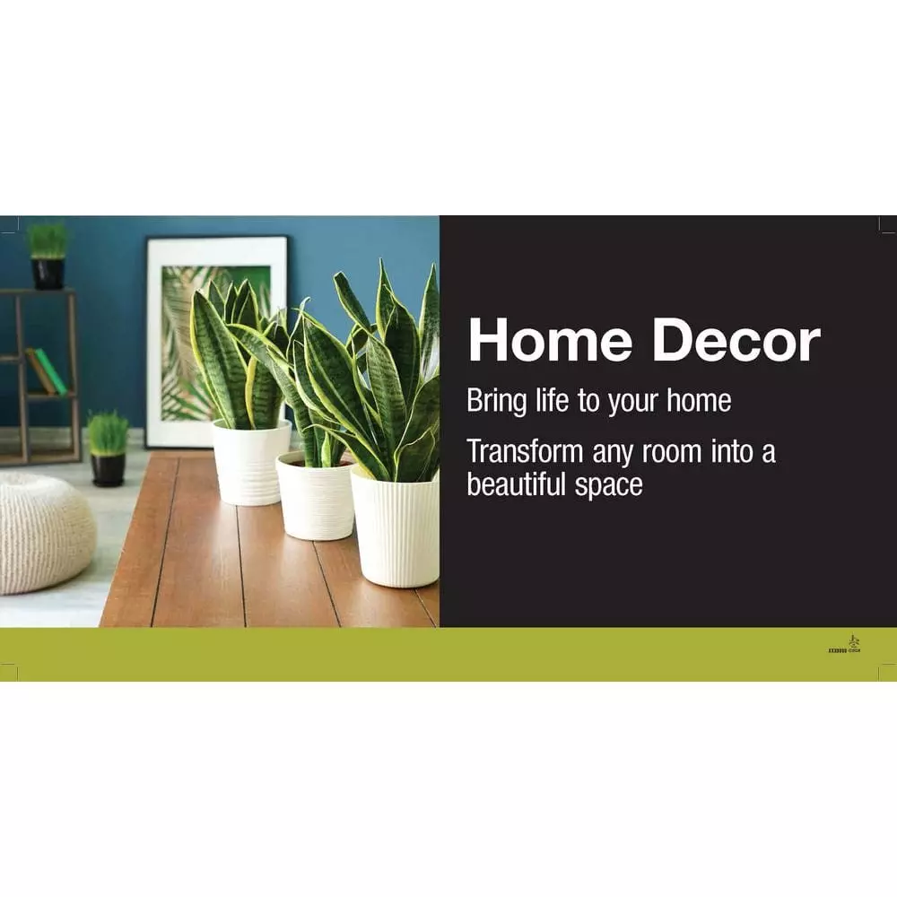 Vigoro 6 in. Peace Lily Indoor Plant in Small White Ribbed Plastic Decor Planter (2-Pack) 5 Vigoro 6 in. Peace Lily Indoor Plant in Small White Ribbed Plastic Decor Planter (2-Pack) - Image 3