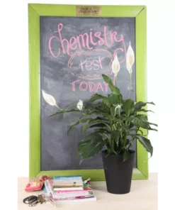 Vigoro 6 in. Peace Lily Indoor Plant in Small White Ribbed Plastic Decor Planter (2-Pack) 15 Vigoro 6 in. Peace Lily Indoor Plant in Small White Ribbed Plastic Decor Planter (2-Pack) -Vigoro sales Store vigoro indoor plants co sy06 3 vi wh c3 1000