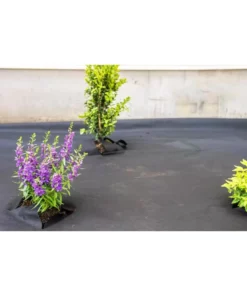 Vigoro 4 ft. x 100 ft. Weed Barrier Landscape Fabric 22 Vigoro 4 ft. x 100 ft. Weed Barrier Landscape Fabric -Vigoro sales Store vigoro landscape fabric nmv04100b 4f 1000