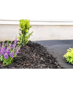 Vigoro 4 ft. x 200 ft. Point Bond Landscape Fabric 22 Vigoro 4 ft. x 200 ft. Point Bond Landscape Fabric -Vigoro sales Store vigoro landscape fabric nmv04200b 1f 1000