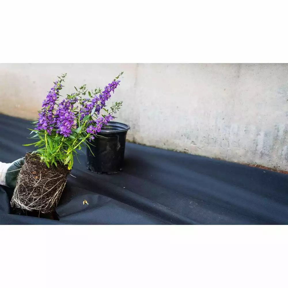 Vigoro 4 ft. x 200 ft. Point Bond Landscape Fabric 9 Vigoro 4 ft. x 200 ft. Point Bond Landscape Fabric - Image 7