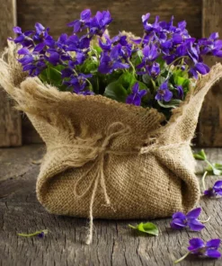 Vigoro 3 ft. x 24 ft. 100% Natural Burlap Landscape Fabric (2-Pack) -Vigoro sales Store vigoro landscape fabric nmvb0324 2pk c3 1000