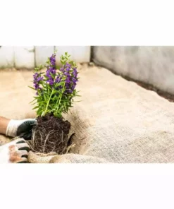 Vigoro 3 ft. x 24 ft. 100% Natural Burlap Landscape Fabric -Vigoro sales Store vigoro landscape fabric nmvb0324 c3 1000