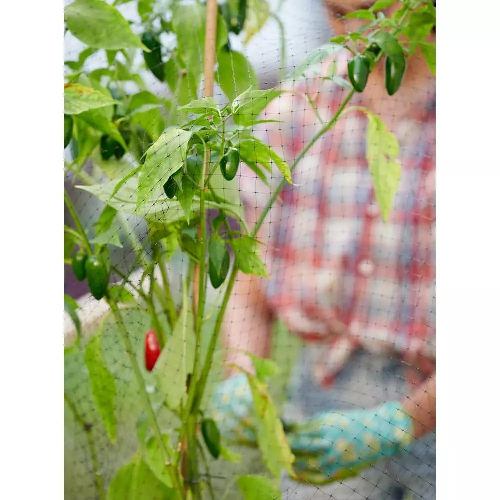 Vigoro 14 ft. x 14 ft. Polypropylene Bird Block Netting and Barrier 12 Vigoro 14 ft. x 14 ft. Polypropylene Bird Block Netting and Barrier - Image 10