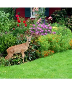 Vigoro 7 ft. x 100 ft. Polypropylene Deer Block Netting Barrier, UV Treated (5-Pack) -Vigoro sales Store vigoro landscape fabric nmvdb07100h 5pk 1d 1000