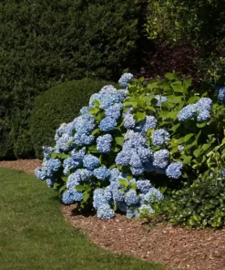 Vigoro 4 ft. x 100 ft. Matrix Grid Heavy-Duty Landscape Fabric (4-Pack) -Vigoro sales Store vigoro landscape fabric vpnm410085 4pk 77 1000