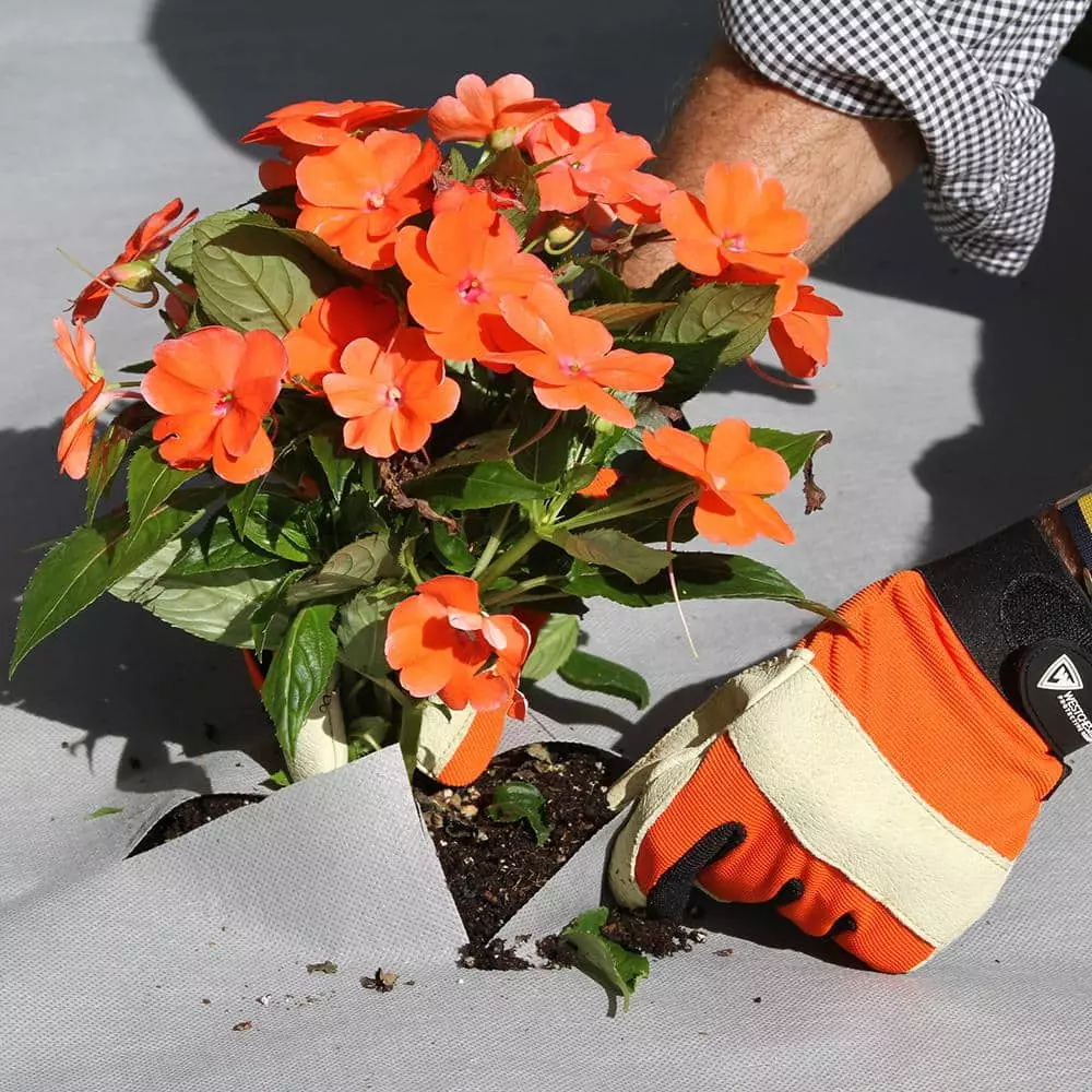 Vigoro 4 ft. x 50 ft. Matrix Grid Heavy-Duty Landscape Fabric (4-Pack) 7 Vigoro 4 ft. x 50 ft. Matrix Grid Heavy-Duty Landscape Fabric (4-Pack) - Image 5