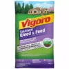 Vigoro 32 lbs. 10,000 sq. ft. Weed and Feed Weed Killer Plus Lawn Fertilizer for Southern Grass Types 1 Vigoro 32 lbs. 10,000 sq. ft. Weed and Feed Weed Killer Plus Lawn Fertilizer for Southern Grass Types -Vigoro sales Store vigoro lawn fertilizers 22540 1 64 1000