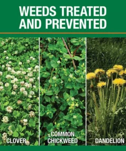 Vigoro 32 lbs. 10,000 sq. ft. Weed and Feed Weed Killer Plus Lawn Fertilizer for Florida Grass Types -Vigoro sales Store vigoro lawn fertilizers 22562 1 c3 1000