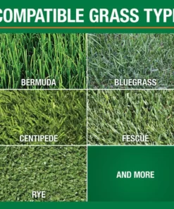 Vigoro Super Green 16 lbs. 6,220 sq. ft. Lawn Fertilizer with 5% Iron for Green Grass 8 Vigoro Super Green 16 lbs. 6,220 sq. ft. Lawn Fertilizer with 5% Iron for Green Grass -Vigoro sales Store vigoro lawn fertilizers 62201 4f 1000