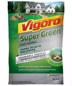 Vigoro Super Green 16 lbs. 6,220 sq. ft. Lawn Fertilizer with 5% Iron for Green Grass