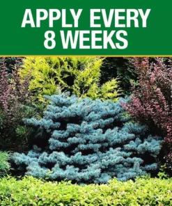 Vigoro 3.5 lb. All Season Tree, Shrub and Evergreen Plant Food (16-4-8) -Vigoro sales Store vigoro plant food fertilizer 124260 1f 1000