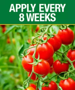 Vigoro 3.5 lb. All Season Tomato and Vegetable Garden Plant Food Plus Calcium (12-10-5) 9 Vigoro 3.5 lb. All Season Tomato and Vegetable Garden Plant Food Plus Calcium (12-10-5) -Vigoro sales Store vigoro plant food fertilizer 124346 1f 1000