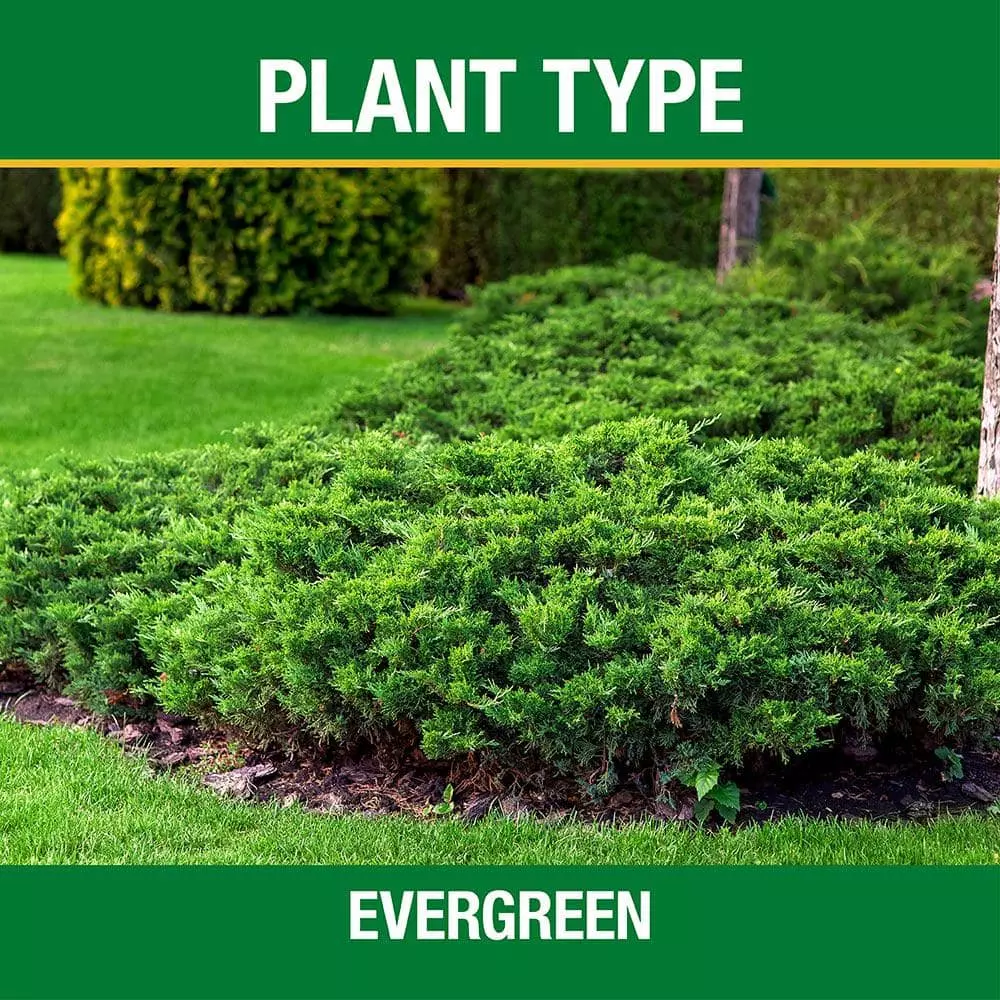 Vigoro 4.2 lb. All Season Tree and Shrub Fertilizer Spikes (12-5-7) (15-Count) 4 Vigoro 4.2 lb. All Season Tree and Shrub Fertilizer Spikes (12-5-7) (15-Count) - Image 2