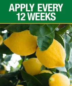 Vigoro 4.2 lb. All Season Fruit, Nut and Citrus Fertilizer Spikes (16-4-8) (15-Count) 9 Vigoro 4.2 lb. All Season Fruit, Nut and Citrus Fertilizer Spikes (16-4-8) (15-Count) -Vigoro sales Store vigoro plant food fertilizer 154306 1f 1000